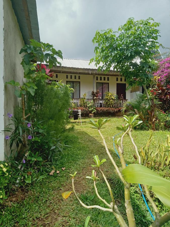 Tiu Kelep Homestay セナル エクステリア 写真