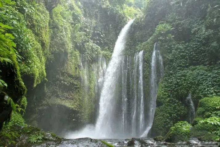 Tiu Kelep Homestay セナル エクステリア 写真